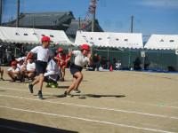 IMG_5918