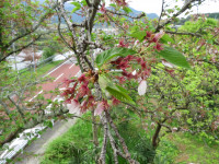 IMG_0772