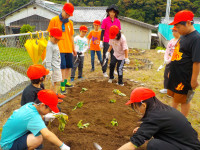 DSCN0660