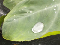 DSCN7910