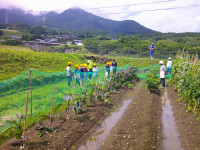 DSCF0014