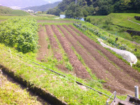 DSCF0036