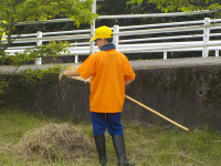 DSCN0008
