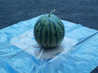 DSCN0583