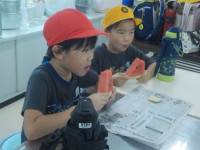 DSCN0591