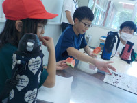 DSCN0594