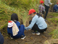 DSCN0902