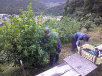 DSCF0055