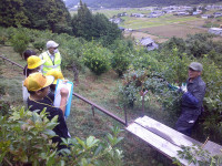 DSCF0062