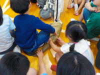 DSCN0553