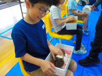 DSCN0586