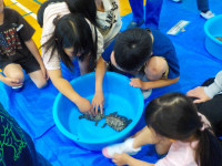 DSCN0593
