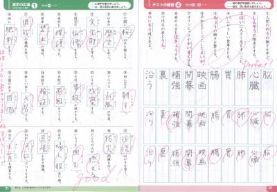 やった!満点です やった!満点です