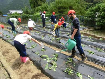 大きくなあれ! 大きくなあれ!