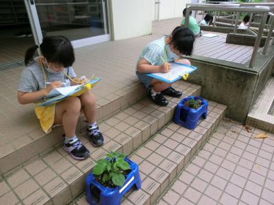 花をみて、きづいたことをかこう