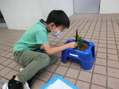 科学の芽・目も育っています