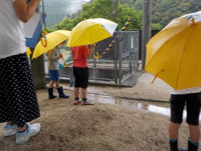 どこに雨水はたまっているかな