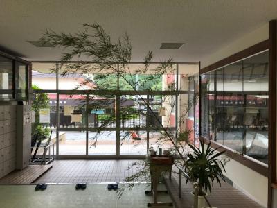 玄関にピッタリ合うサイズの笹竹です 玄関にピッタリ合うサイズの笹竹です