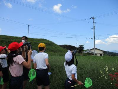 遠くに鳥が・・・