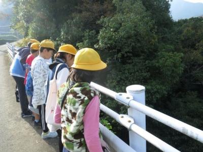 上流の川の特徴を確かめています