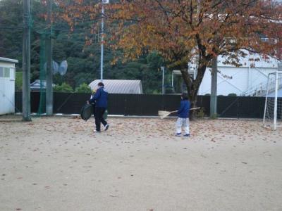 桜の木の下を中心にたくさんの落ち葉が見られます