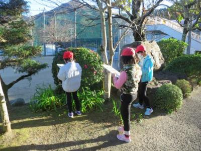 山茶花、見つけたよ! 山茶花、見つけたよ!