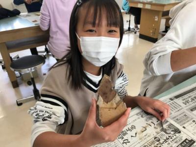 葉っぱの化石が見つかった! 葉っぱの化石が見つかった!