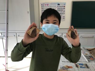 きれいな形の化石が出てきました きれいな形の化石が出てきました