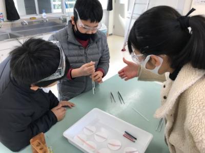 安全に気を付けて学習しました 安全に気を付けて学習しました