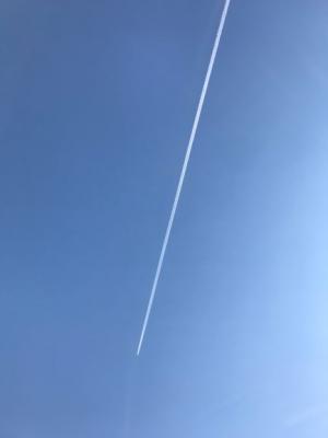 きれいな青空です