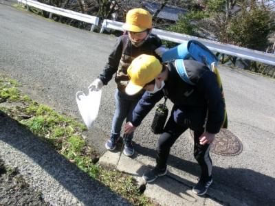 やはり溝に落ちているようです