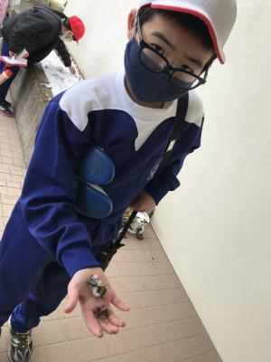 霜柱がありました! 霜柱がありました!