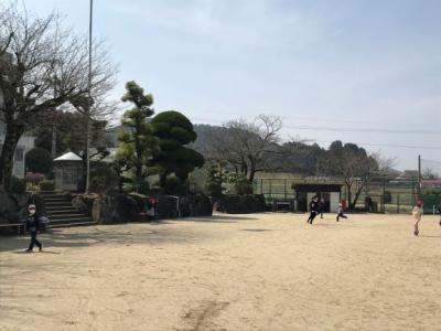 思いっきり駆け回っています! 思いっきり駆け回っています!