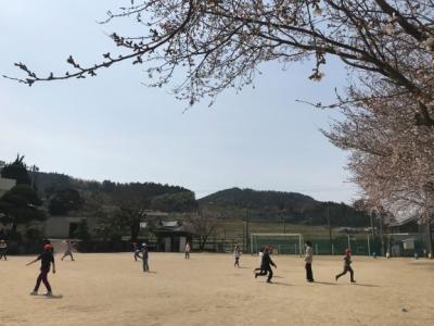 桜が咲き始めました 桜が咲き始めました