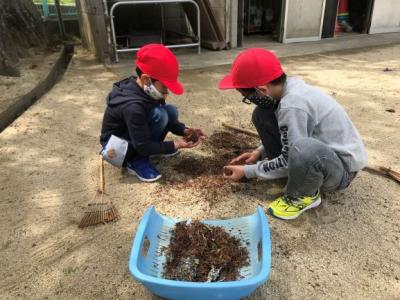 落ち葉の集め方を教えてくれたよ！