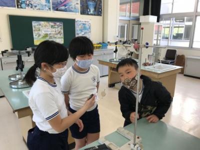 何だか決まりが見えてきたよ 何だか決まりが見えてきたよ