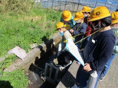 身近にも新たな発見がありました