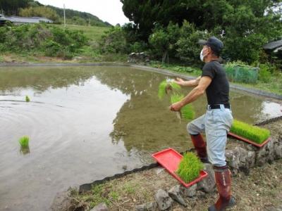 田植えがしやすいように…