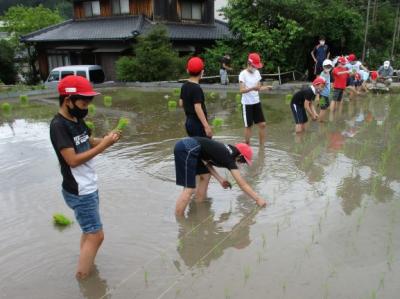 足元に苗があるので作業がスムーズです