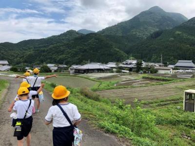 風景を楽しみ、