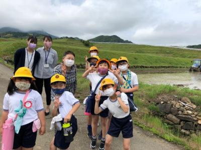 プロの田植えも見学しました