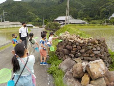 なぜ石が積まれてるのかな? なぜ石が積まれてるのかな?