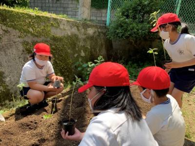 大きくなってね 大きくなってね
