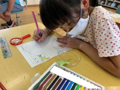 無事成虫になりますように! 無事成虫になりますように!
