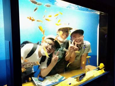 まるで海の中のようです! まるで海の中のようです!