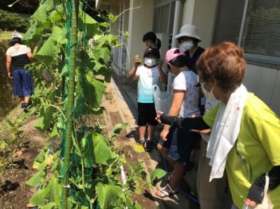 学校園で収穫作業