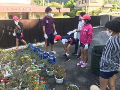 花の片付け 花の片付け