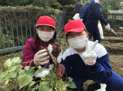 見付けたよ! 見付けたよ!